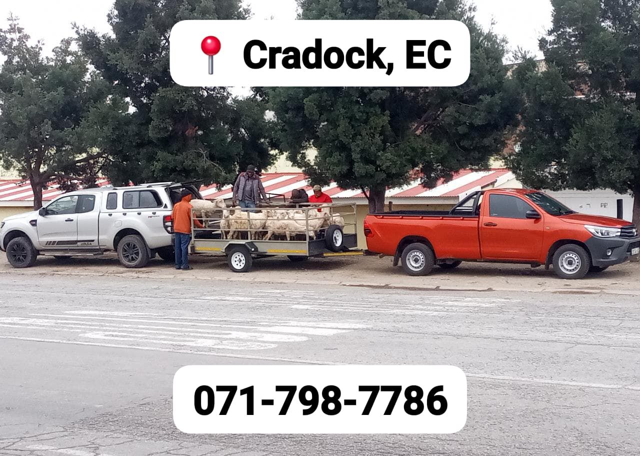 Removals 2