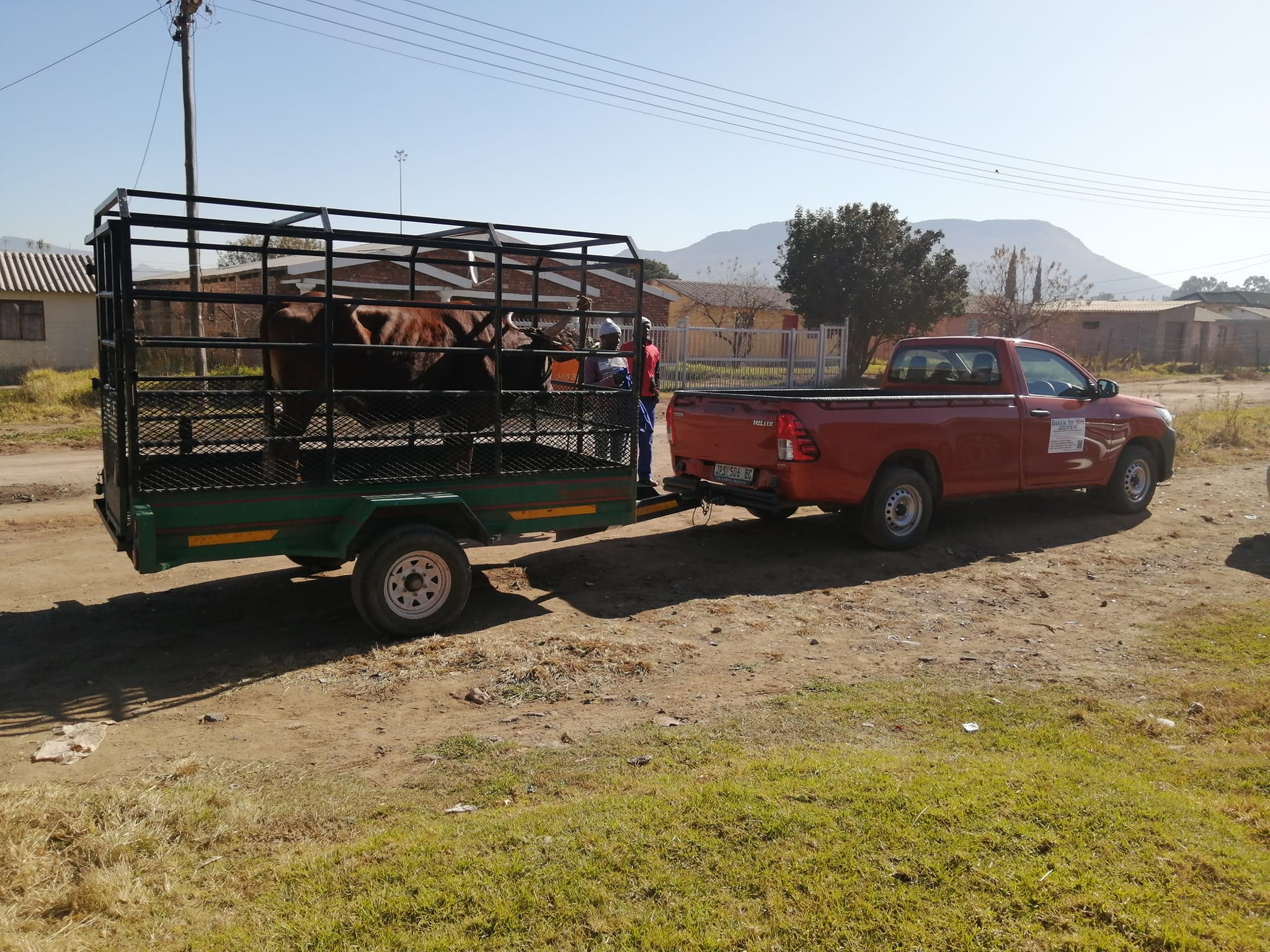 Removals 2